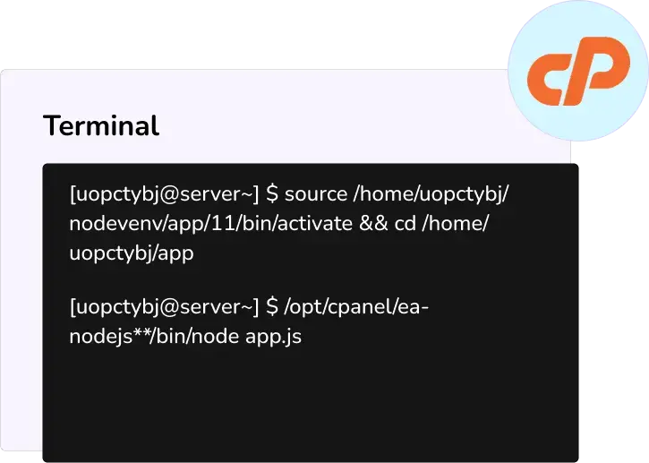 Enhanced Website Security
