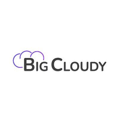 About BigCloudy - India's Trusted Web Hosting & Cloud Infrastructure ...