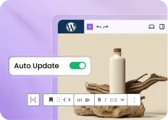 Automatic WordPress Updates & One-Click Staging