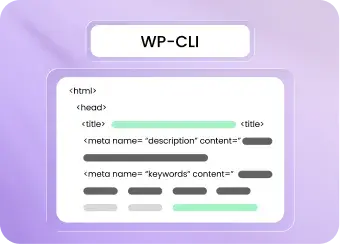 WP-CLI Supported WordPress Environment
