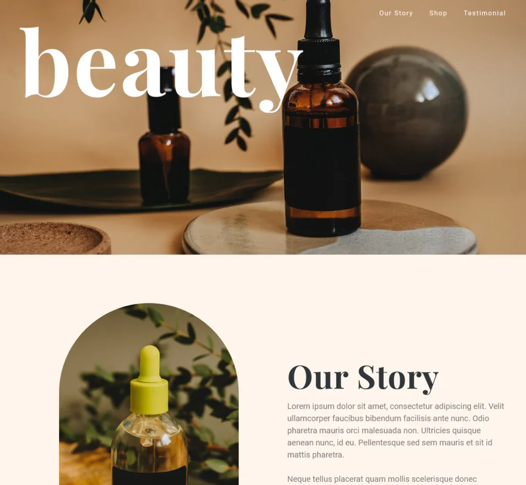 Beauty website WordPress template Beauty website WordPress template